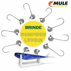 Jig Head para Robalo + Brinde Shad | Anzol Afiado e Pesos Variados – MULE