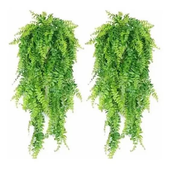 2 Pendentes De Samambaia Jardim Vertical Folhagem Planta