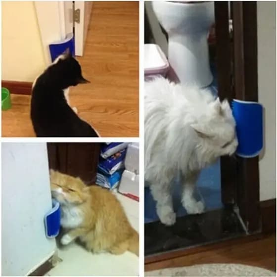 Escova Parede Casa Felinos Gatos Massageador Tira Pelos