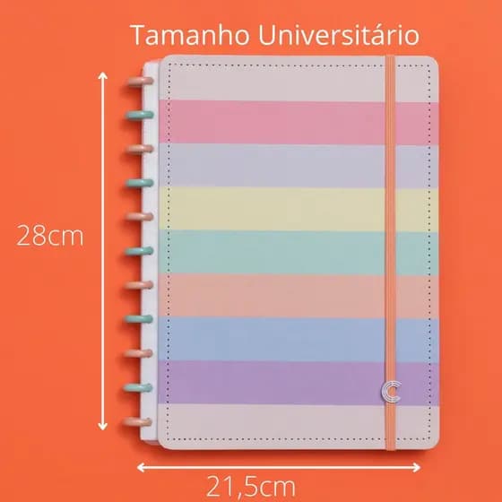 Caderno Inteligente Grande Arco Íris Pastel Ci de Disco Universitário Matérias 80 Folhas 90g