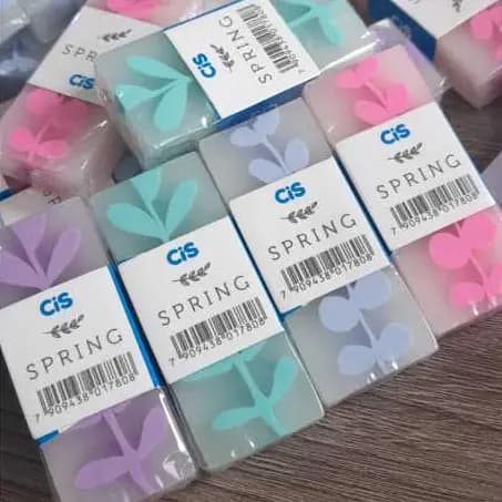 Borracha escolar CiS Spring com cores lindas
