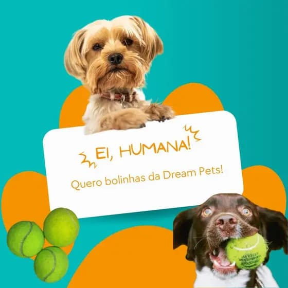 Bolinha de Tênis para Pets Diversão Garantida para seu Cão ou Gato