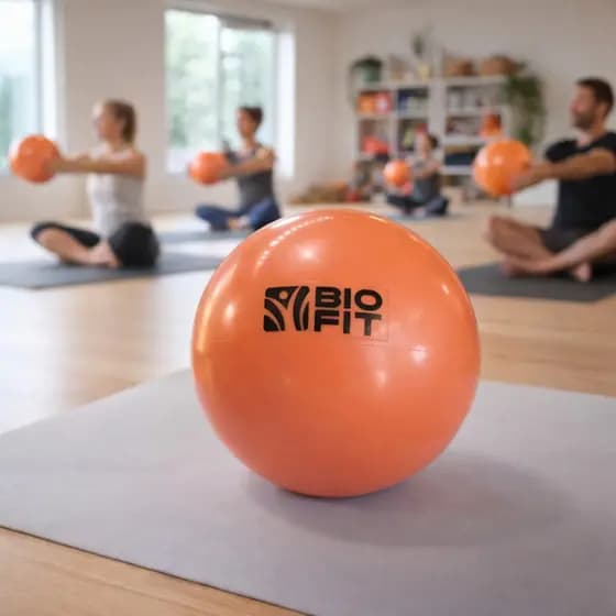 Bola de Peso Bio Fit 1Kg Fisioterapia Exercício Bolinha Exercitar Pilates Academia