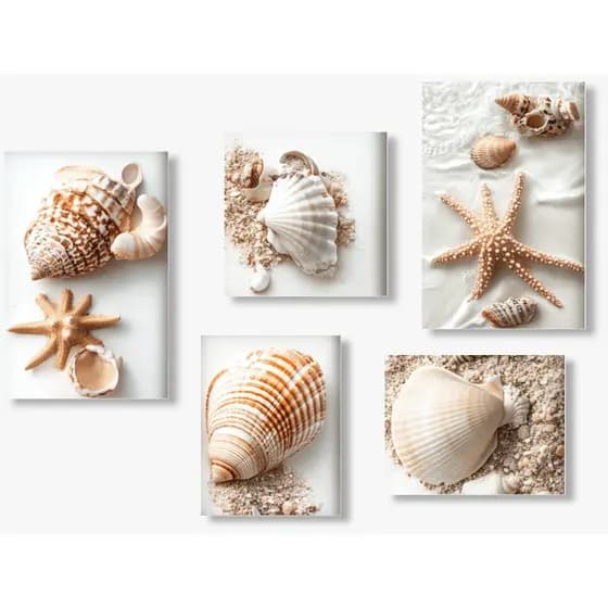 Kit 5 Quadros Decorativo Mdf Sala Grande Conchas Mar Praia Boho Chic Bege Colorido quarto cozinha banheiro escritorio