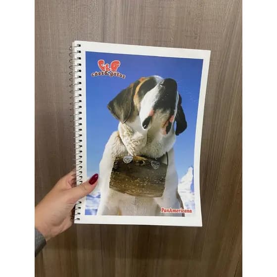 Caderno Universitários 96 Folhas 1 Matéria Espiral Capa Mole flexível