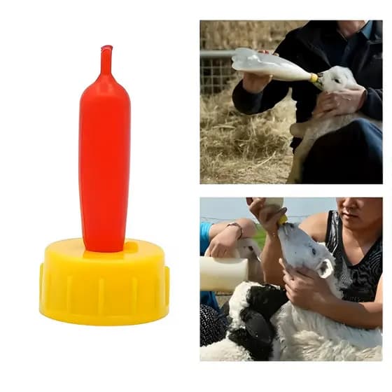 2 Bicos para Mamadeira De Silicone Para Filhotes De Mamíferos