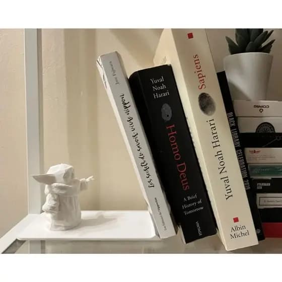 Organizador de mesa suporte livros