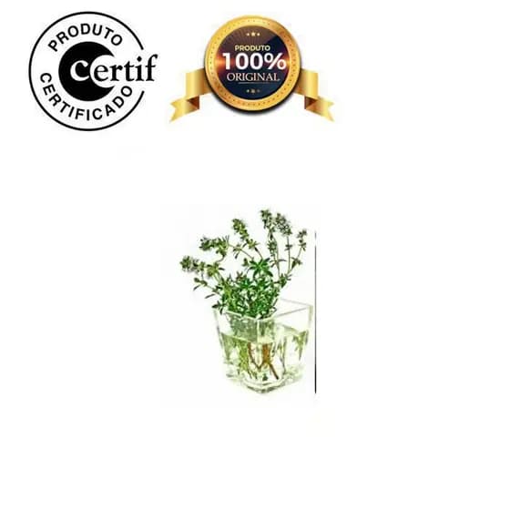 Óleo Vegetal de Cânfora 1 Litro Prensado a frio com laudo