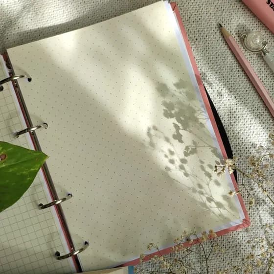 REFIL/FOLHAS de caderno argolado A5 - refil pautado - refil pontilhado - refil quadriculado
