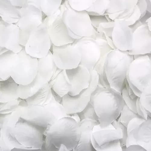 Kit 2000 Pétalas Artificiais Brancas Decoração