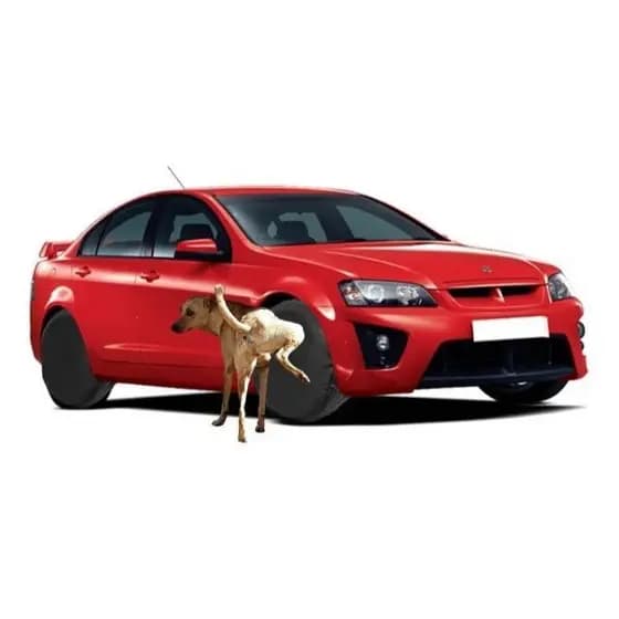 4 Capas Protetora Roda Pneu Courvin Preto Anti Xixi Cachorro Frete Gratis