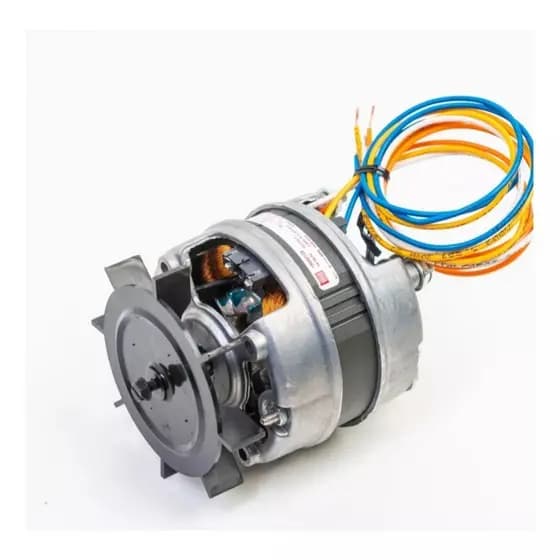 Motor Grill Churrasqueira Giratória Weg 115/230 Bivolt Reposição
