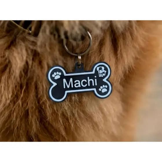Tag de Identificação Pet Personalizada – Placa para Cachorro Gato com Nome e Telefone