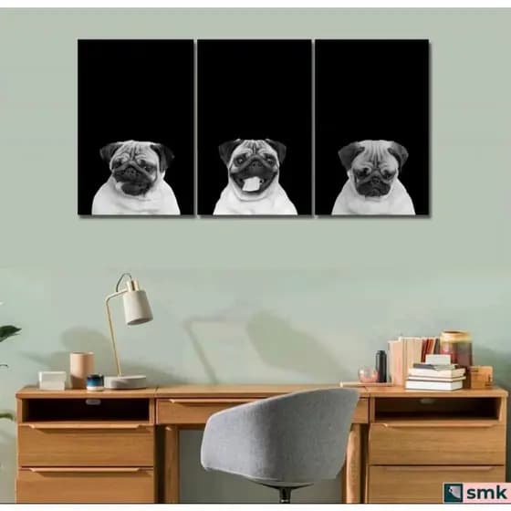 Quadro decorativo para ambientes diversos cachorro Pug alta definição em preto e branco