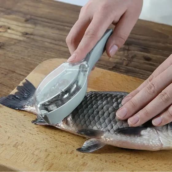 Escamador de Peixe lâmina Afiada com tampa