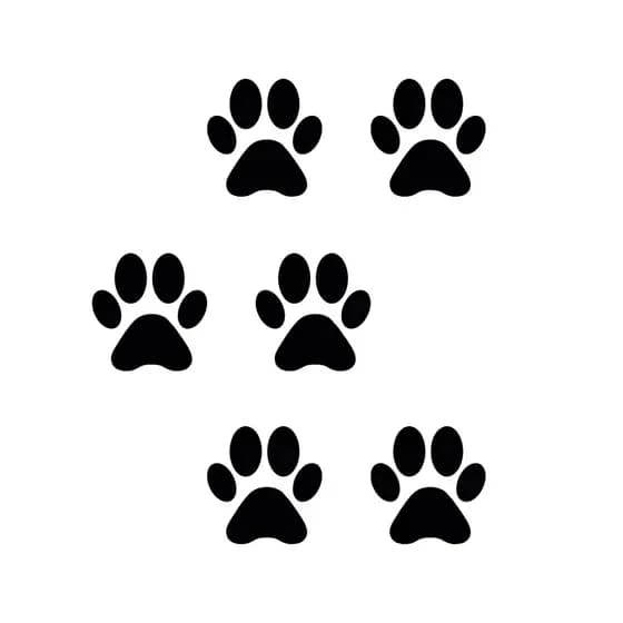 Adesivo Patinhas Cachorro Gato Adesivo Pet Recorte Patinhas Para Carro Moto
