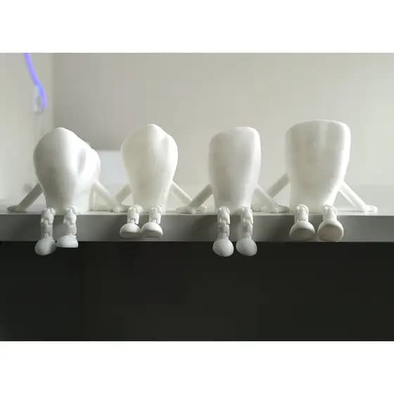 Dente Decorativo com Perninhas Decoração Consultório e Presentes Criativos Incisivo Central ao Pré