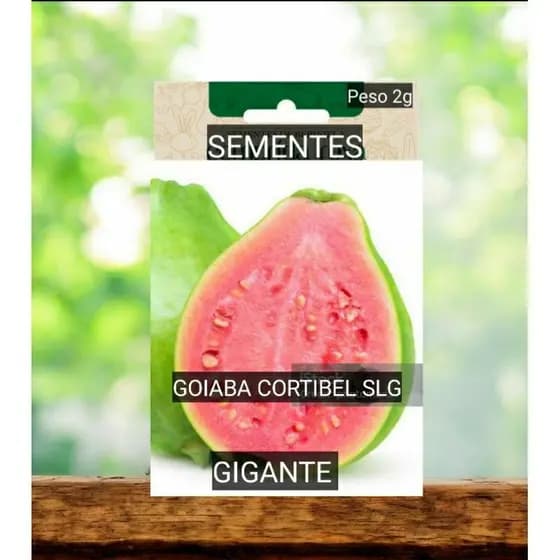 kit 30 Sementes de Goiaba Gigante slg para vasos jardim super doce