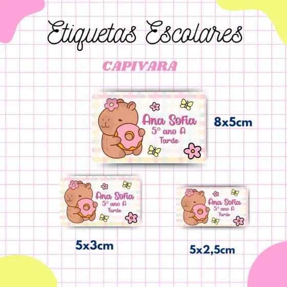 Kit Etiqueta Escolar Capivara l Adesivos Escolar l Etiquetas Personalizadas l Material Escolar l Volta as Aulas
