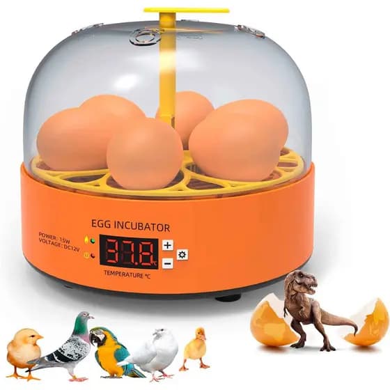 Mini Chocadeira Incubadora Ovos Galinha Pato Semi Automática Lorben