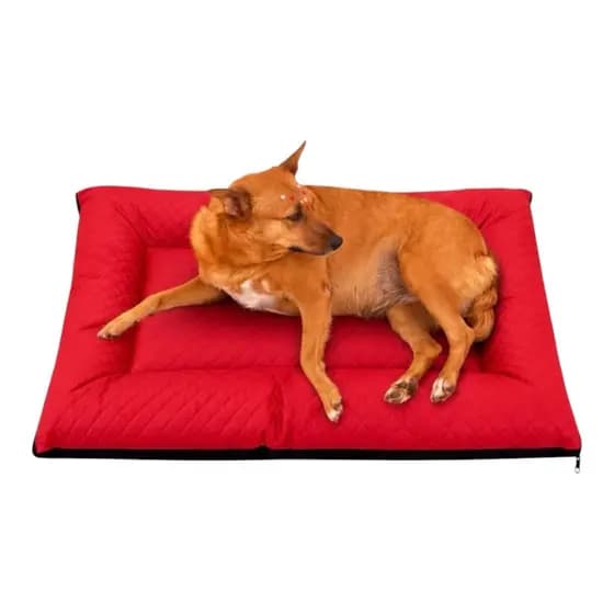 Caminha Colchonete Para Cachorro 90x70cm Extra Confortável