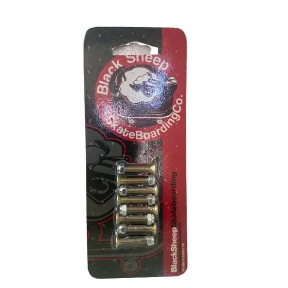 Parafuso De Base Skate Philips 25mm- Porca 10mm