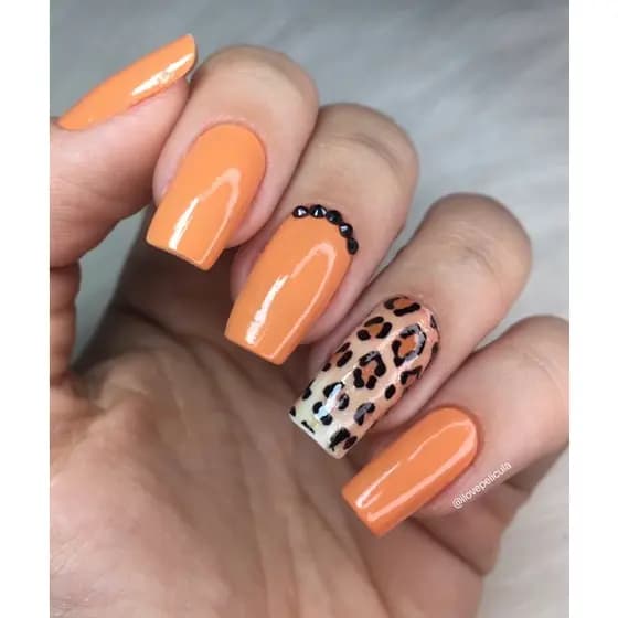 Película de unha animal Print cartela com 12 adesivos ALP - 110 Adesivos,películas,unhas,nails art,unhas decoradas