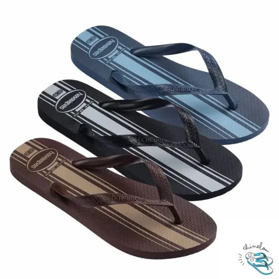 Chinelo Havaianas Color Essential Masculino Original