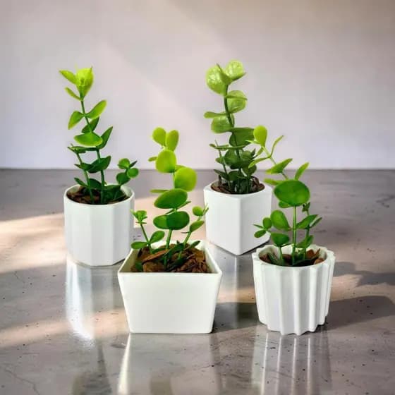 Kit 4 Vasos com Musgo Verde - Enfeite de Mesa ou Prateleira