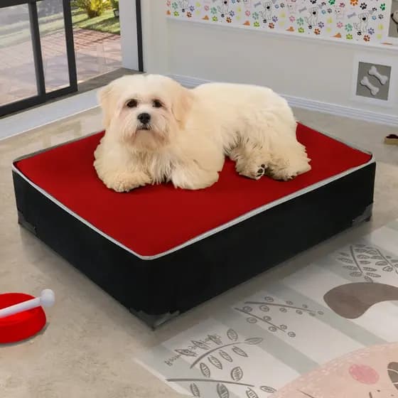 Cama Box Para Pets Cães e Gatos Conforto Premium Tecido Fácil de limpar Resistente