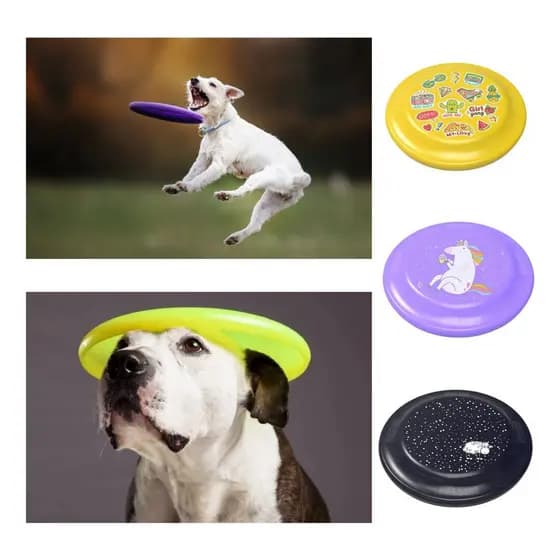 Kit 3 Frisbee Disco Arremesso Brincadeira Divertida Arlivre