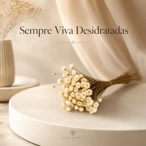 80 Galhos Flor Seca Sempre Viva Branca