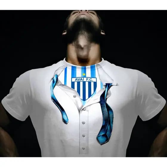 Camiseta 100% Poliéster Time do Avai / Camisa do Leão da Ilha / Blusa do time da Raça