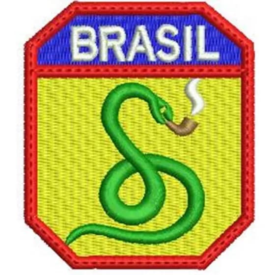 Patch bordado FEB Força Expedicionária Brasileira c Carrapicho Segunda Guerra Mundial varias cores.