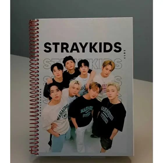 Stray Kids Kpop Caderno A5 (tamanho agenda) 𝟵6 𝗙𝗼𝗹𝗵𝗮𝘀 + Cartela Skzoo
