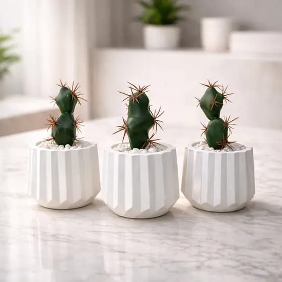 Kit Arranjo Cactus Suculenta Vaso Gesso Decorativo Sala, Escritório, Apartamento Decoração, Lembrancinha Casamento, Mesa
