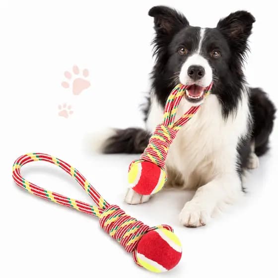 Brinquedo Mordedor Corda com Bola de Tênis para Cães Pet Cabo de Guerra
