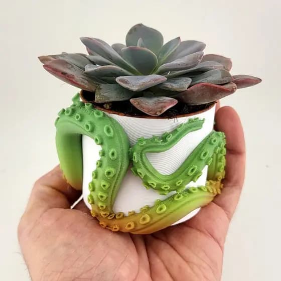 Vaso Decorativo Tentáculos para Suculentas Design Único