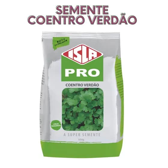 Semente de Coentro Verdão Verde Escura Isla 500g Somente para Horta