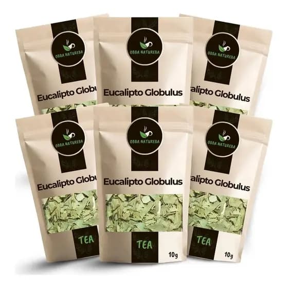 Eucalipto Globulus para Chá Ervas Cuidadosamente Selecionada Ideal Para Infusão - Leve 6 Unidades