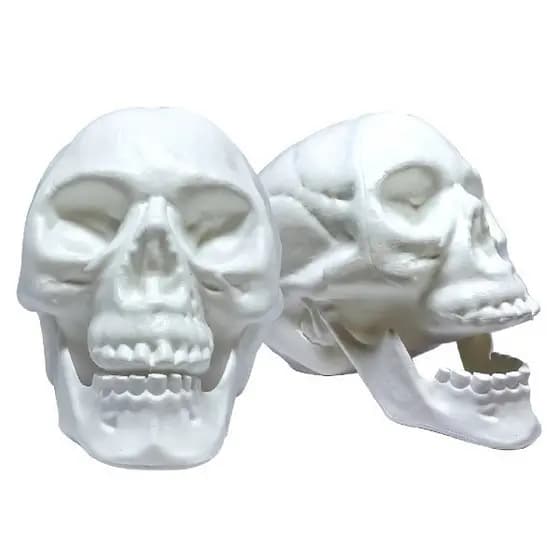 Enfeite Halloween Crânio Com Mandibula Brasilflex
