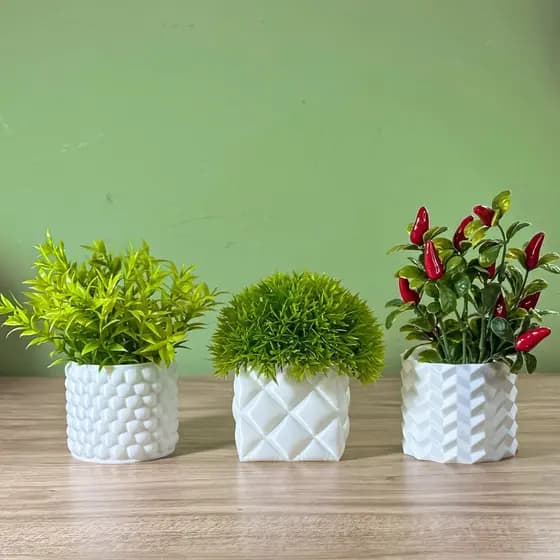 Kit 3 Vasos para Cactos e Suculentas