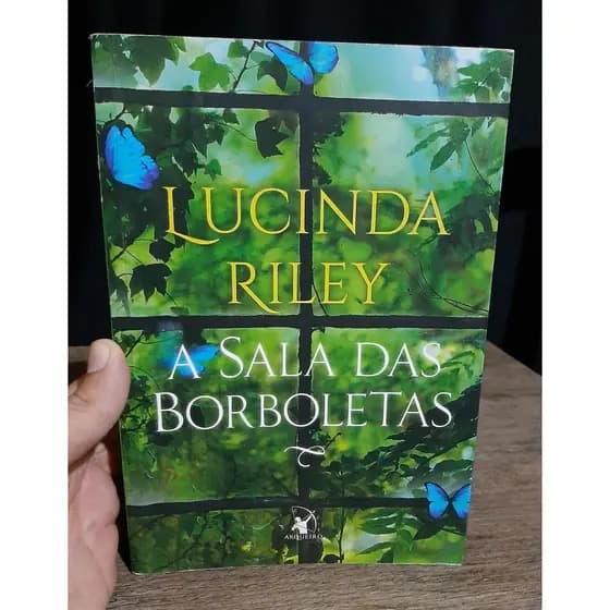 Livro A Sala das Borboletas - Lucinda Riley - Ficcao - Romance