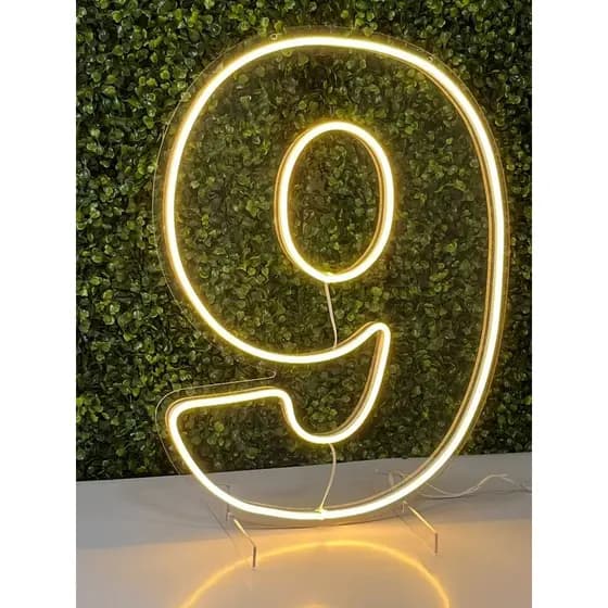 Número Led Neon 50cm de 0 ao 9 Acrílico Aniversários- 6 unidades