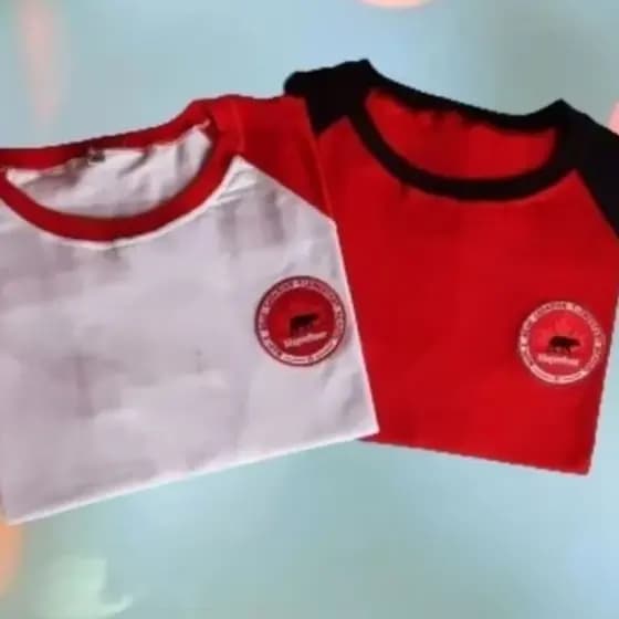 Camiseta Maple Bear Fundamental em algodao.