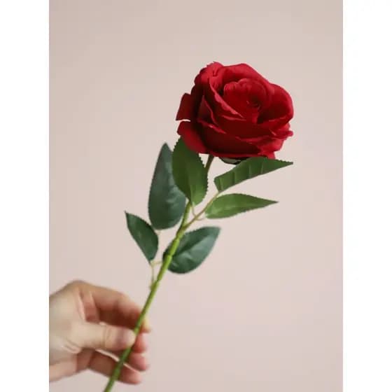 HYQ0432 Artificial Plástico Rosa