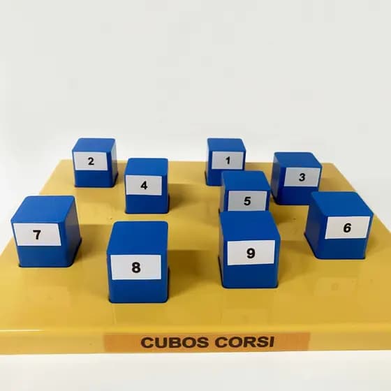 Cubos Corsi Azul