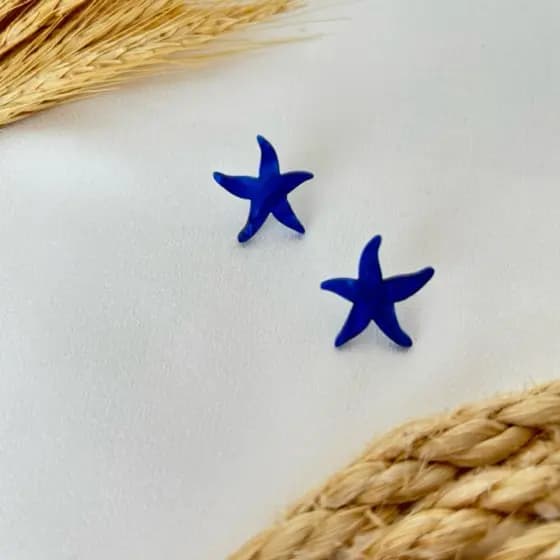Brinco Estrela do Mar Charmoso em Aço Inox Antialérgico e Acrilico
