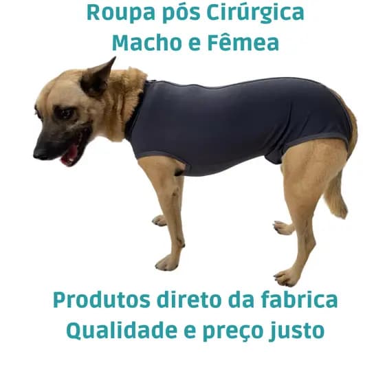 Roupa Pós Cirúrgica para Cachorro Macho e Fêmea Cirurgia de Pet Com Proteção UV Macacão Cirúrgico