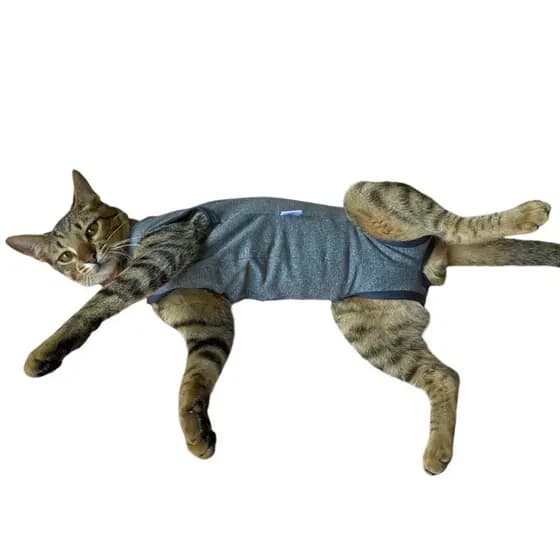 Roupa Castração Macacão pós Cirúrgico Gatos Felinos
